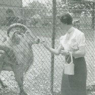 two-old-goats-founder-karen